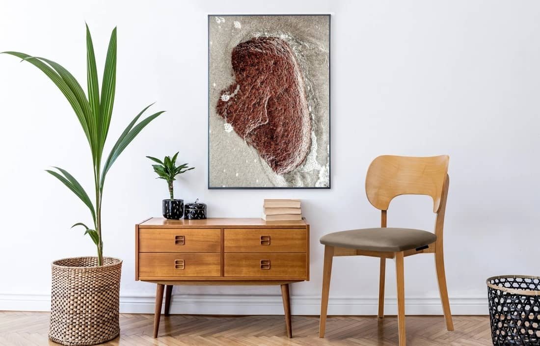 Kėdė LYCA, smėlio/ąžuolo, 47x45x80,5 cm